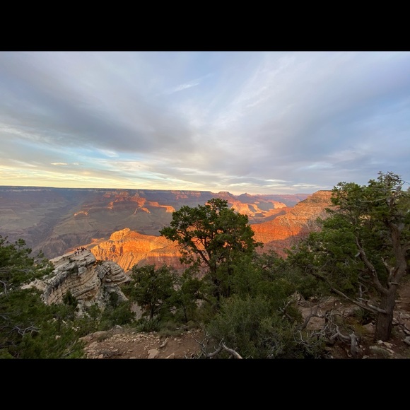 Meet your Posher, Brandon - Picture 1 of 1